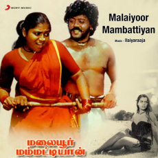 Chinna Ponnu Selai - Ilaiyaraaja, S. Janaki Chinna Ponnu Selai - Ilaiyaraaja, S. Janaki