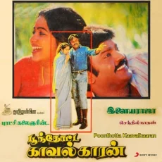 Paadatha Themmangu - Ilaiyaraaja, SP Balasubrahmanyam
