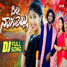 Pilla Nagulellu - Srinidhi, Suman Badnakal Pilla Nagulellu - Srinidhi, Suman Badnakal