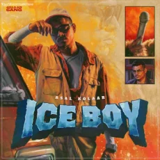 ICEBOY