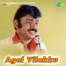 Nee Kannil Vaazhum - BS Sasirekha, Ilaiyaraaja Nee Kannil Vaazhum - BS Sasirekha, Ilaiyaraaja