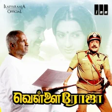 Naagoor Pakkathile
