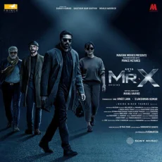 Mr X Origins