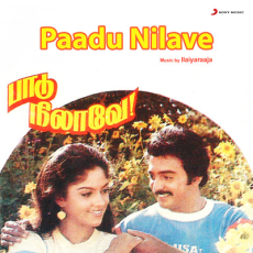 Malaiyoram Veesum Kaatru - Ilaiyaraaja, S.P. Balasubrahmanyam Malaiyoram Veesum Kaatru - Ilaiyaraaja, S.P. Balasubrahmanyam