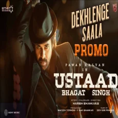 Dekhlenge Saala (Song Promo) - Devi Sri Prasad