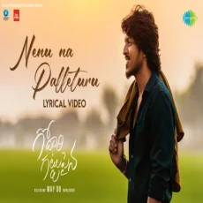 Nenu Na Palleturu - Naga Vamshi