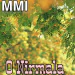 Nirumala O Nirumala