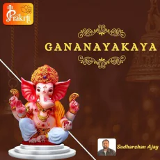 Gananayakaya - Sudharshan Ajay, Kalyani Gowri Shankar Gananayakaya - Sudharshan Ajay, Kalyani Gowri Shankar