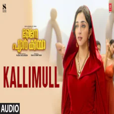Kallimull - Zia Ul Haq,Vijay Anand Kallimull - Zia Ul Haq,Vijay Anand