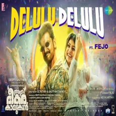 Delulu Delulu - Fejo