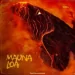 MAUNA LOA (Vedan) 2025