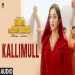 Kallimull - Zia Ul Haq,Vijay Anand