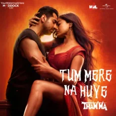 Tum Mere Na Hue Na Sahi (From Thamma) Tum Mere Na Hue Na Sahi (From Thamma)