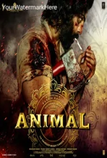 Animal Animal