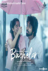 Bachelor Bachelor