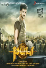 Puli Puli
