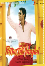 Pattathu Yaanai Pattathu Yaanai