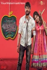 Vadacurry Vadacurry