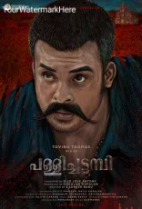 Pallichattambi