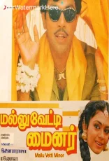 Mallu Vetti Minor