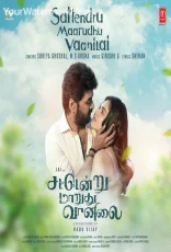 Sattendru Maarudhu Vaanilai