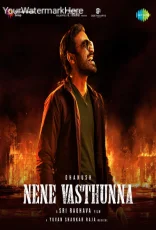 Nene Vasthunna